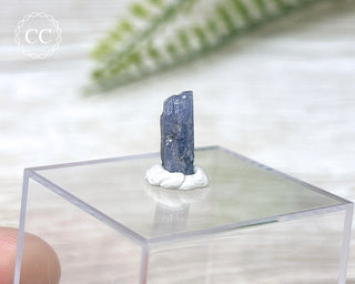 Tanzanite Crystal #2