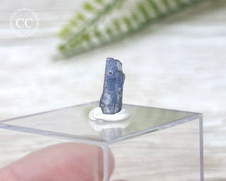 Tanzanite Crystal #2