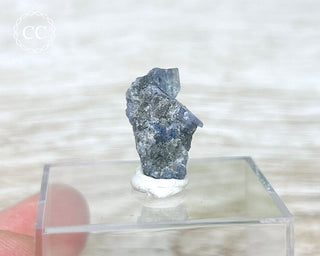 Tanzanite Crystal #8