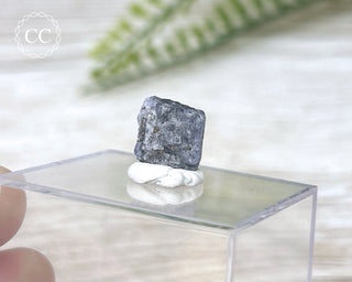 Tanzanite Crystal #3