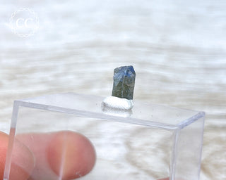 Tanzanite Crystal #5