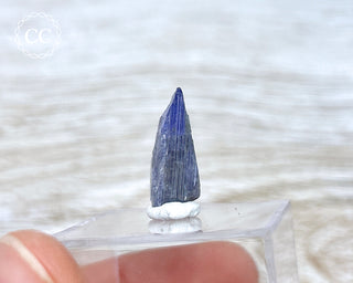 Tanzanite Crystal #6