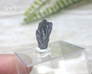 Tanzanite Crystal #1