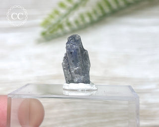 Tanzanite Crystal #1
