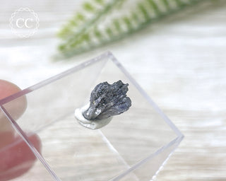 Tanzanite Crystal #1