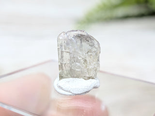 Tanzanite Crystal #12