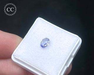Tanzanite Faceted Gem #1