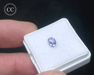 Tanzanite Faceted Gem #1