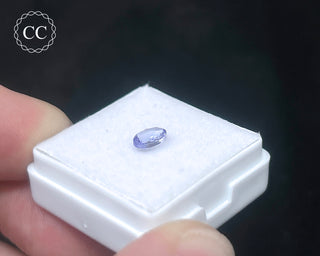 Tanzanite Faceted Gem #1