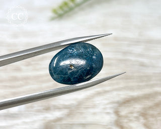 Teal Blue Kyanite Pebble #3
