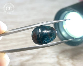 Teal Blue Kyanite Pebble #11