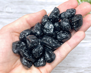 Tektite Tumbled Crystals in hand