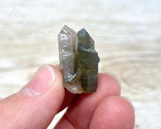 Tiger Blue Tara Quartz #12