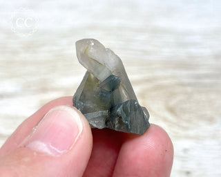 Tiger Blue Tara Quartz #13