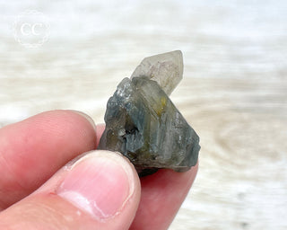 Tiger Blue Tara Quartz #13