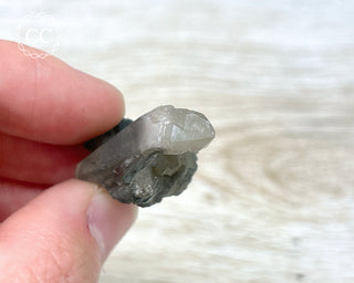 Tiger Blue Tara Quartz #13