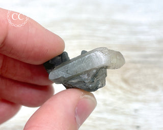 Tiger Blue Tara Quartz #13