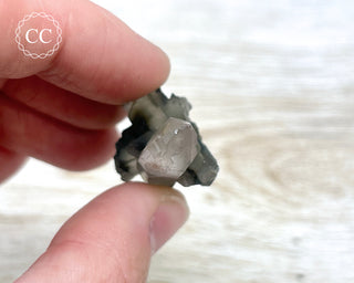 Tiger Blue Tara Quartz #13
