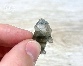 Tiger Blue Tara Quartz #14