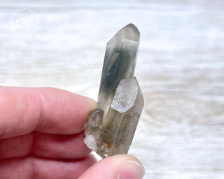 Tiger Blue Tara Quartz #2