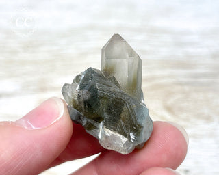 Tiger Blue Tara Quartz #16