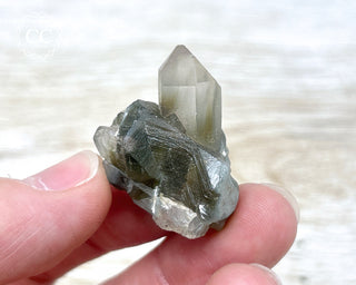 Tiger Blue Tara Quartz #16