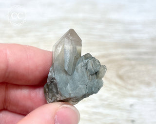 Tiger Blue Tara Quartz #16