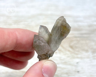 Tiger Blue Tara Quartz #17