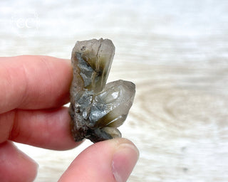 Tiger Blue Tara Quartz #17