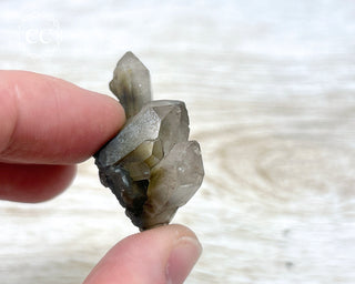 Tiger Blue Tara Quartz #17