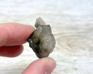 Tiger Blue Tara Quartz #17