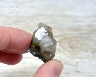 Tiger Blue Tara Quartz #17