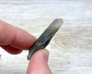 Tiger Blue Tara Quartz #18