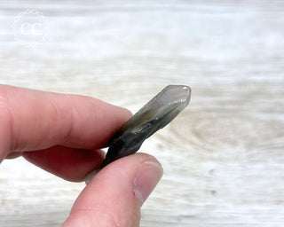 Tiger Blue Tara Quartz #18