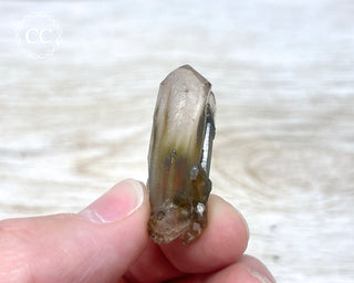Tiger Blue Tara Quartz #19