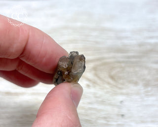 Tiger Blue Tara Quartz #19