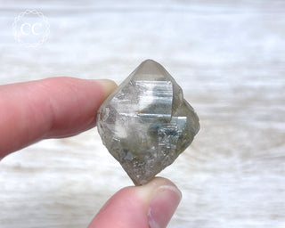 Tiger Blue Tara Quartz #3