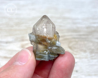 Tiger Blue Tara Quartz #20