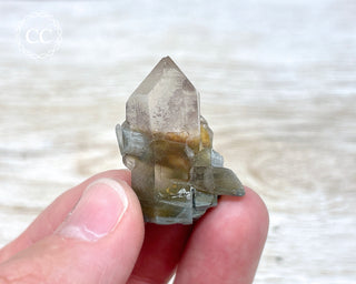 Tiger Blue Tara Quartz #20