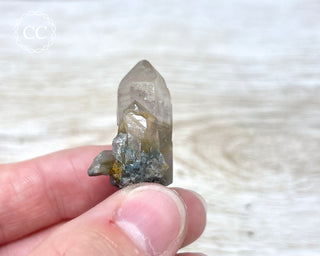 Tiger Blue Tara Quartz #20