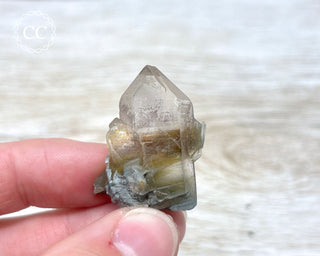 Tiger Blue Tara Quartz #20
