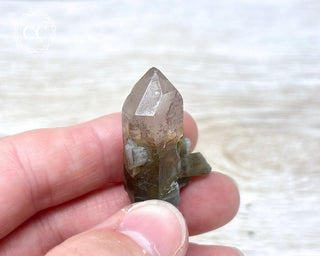 Tiger Blue Tara Quartz #20