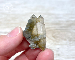 Tiger Blue Tara Quartz #21