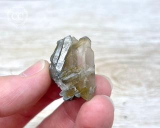 Tiger Blue Tara Quartz #21