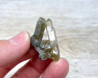 Tiger Blue Tara Quartz #21