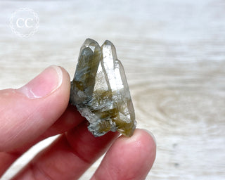 Tiger Blue Tara Quartz #21