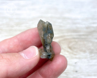 Tiger Blue Tara Quartz #21