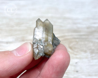 Tiger Blue Tara Quartz #21