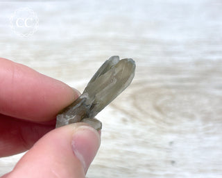 Tiger Blue Tara Quartz #21