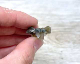 Tiger Blue Tara Quartz #21